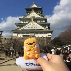 storyofpineapple