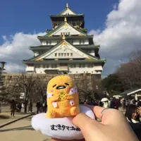 storyofpineapple