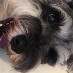 kamkamleelee