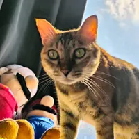 Tina Ljp