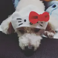 lllaaaiiilllaaaiii