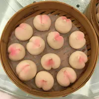 秦嶺百合