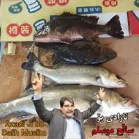 海逸5570