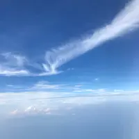 ynllnynl