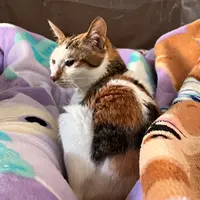 miumiuwg