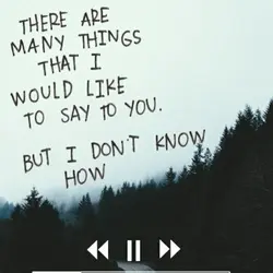 wonderwall818
