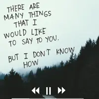 wonderwall818