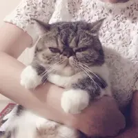 SiuJanet