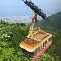 打比鱼