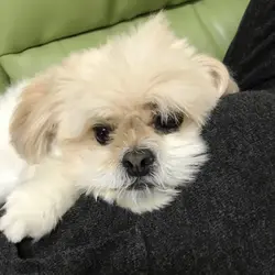 bobbob keung