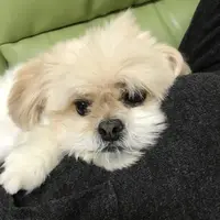bobbob keung