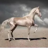 JaneLaw4444