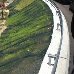 太子涼粉