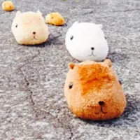 吼吼鼠