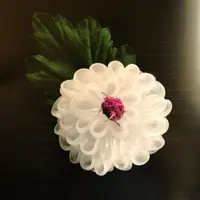 Pappa享