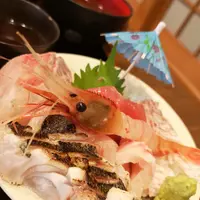 customnoah