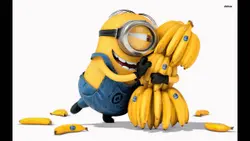 foodiediary