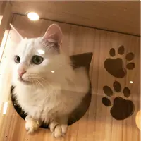 Oooshcara
