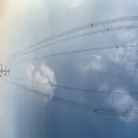 陳小姐2號