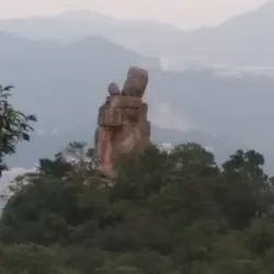 秋天的皮蛋