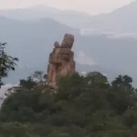 秋天的皮蛋