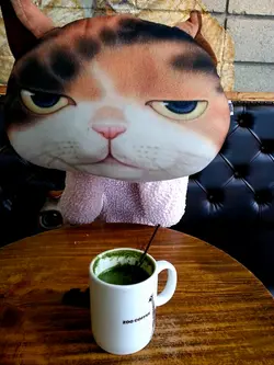 世外貓人