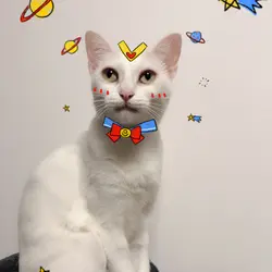 GraceLaLa130