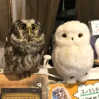 nomnombae