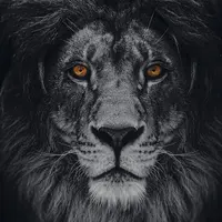 iamvictor