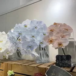 cynthialee817