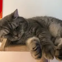bweepbobo