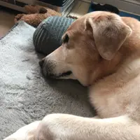 Small Potato Eat