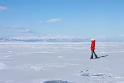 木交月昜
