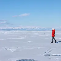 木交月昜
