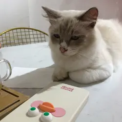 yoeating