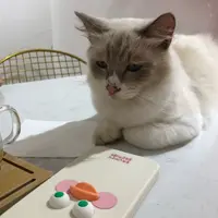 yoeating
