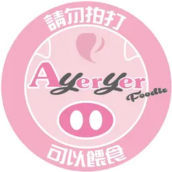Ayeryer Foodie 