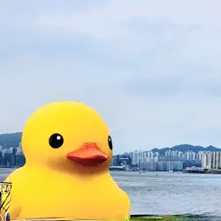 anitapychow