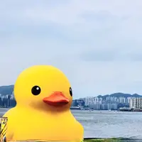 anitapychow