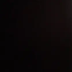 nnoelll