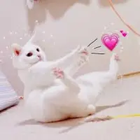 Jann_Jann
