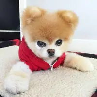 Chung_gor