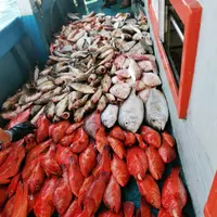 mingng1010