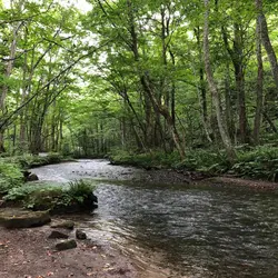 不能肚餓