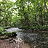 不能肚餓