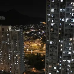 誠實的山藥