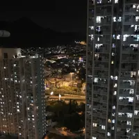 誠實的山藥