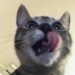 foodsimba