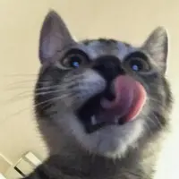 foodsimba