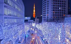 miyako_0209
